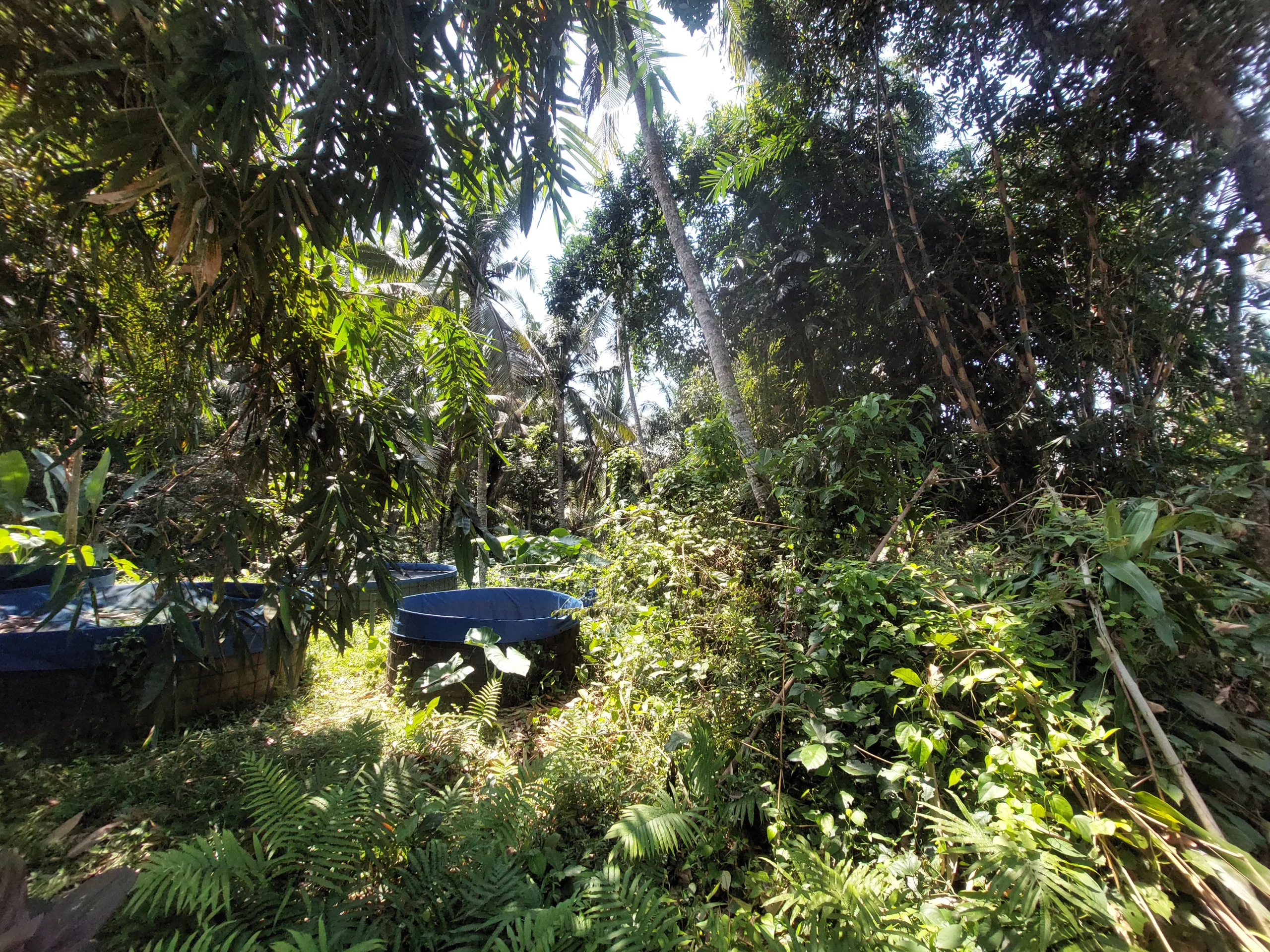 Tanah strategis di blayu, marga, tabanan luas 34 are, view sungai