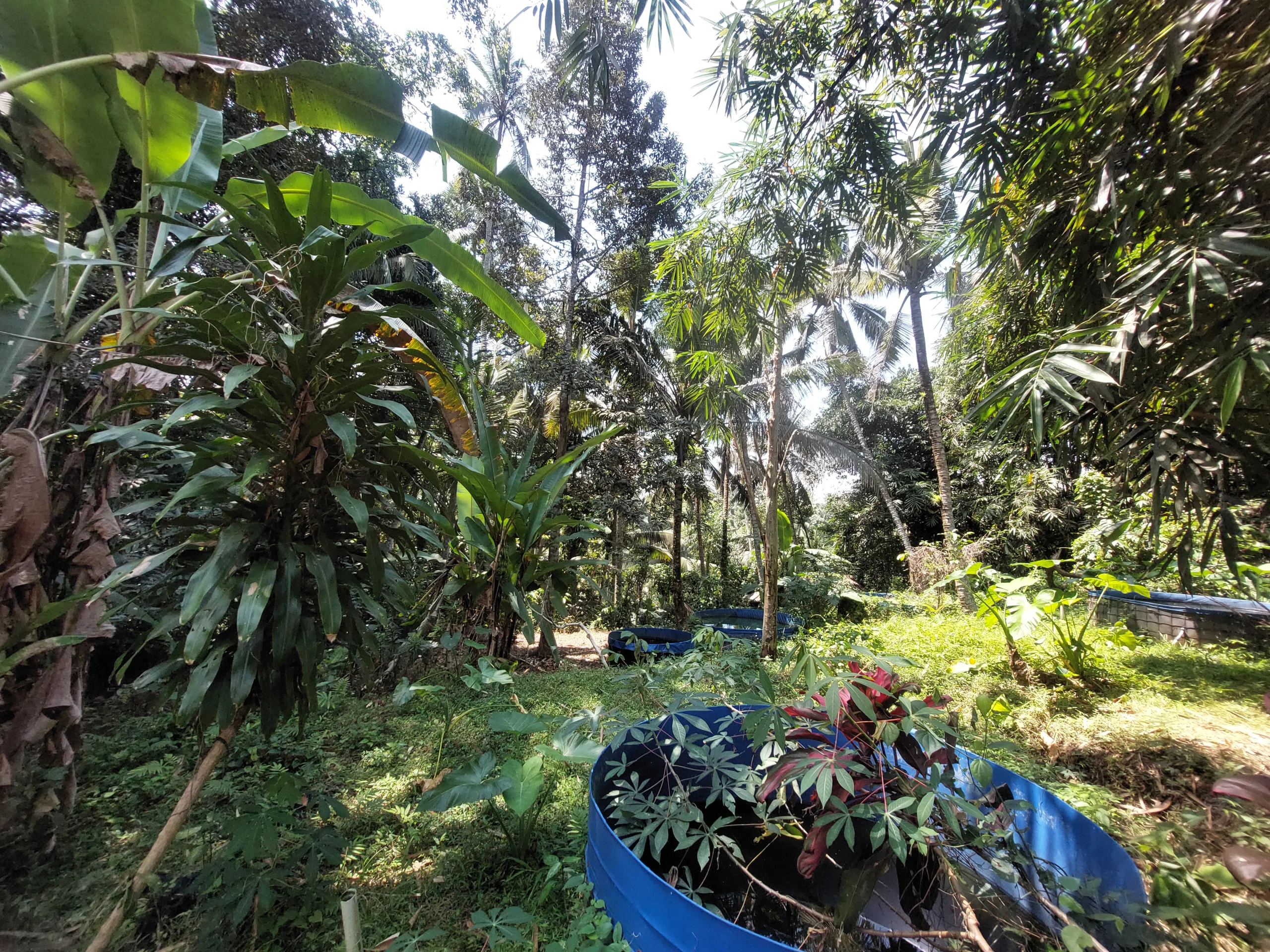 Tanah strategis di blayu, marga, tabanan luas 34 are, view sungai